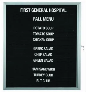 Enclosed Indoor 30"x36" One Door Satin Anodized Finish Aluminum Directory Changeable Letter Board