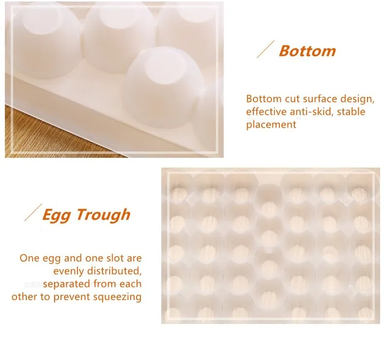 Japanese-Style Plastic Duck Egg Storage Box